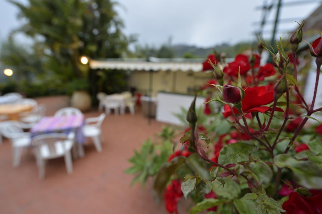 Residence Elvira ดิอาโนมารีนา ภายนอก รูปภาพ